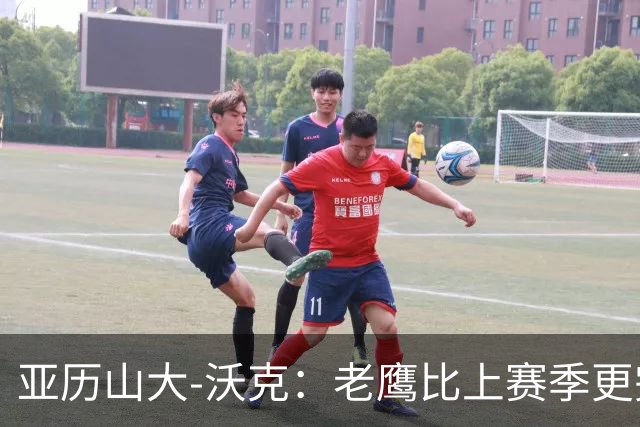 亚历山大-沃克：老鹰比上赛季更完整，信任比什么都重要