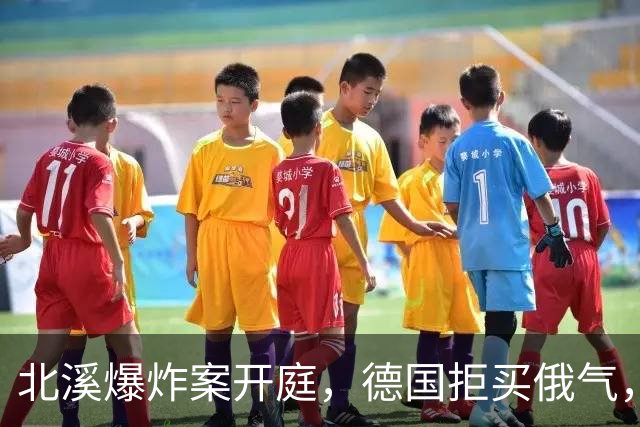 北溪爆炸案开庭，德国拒买俄气，美俄同时施压，选择党提出一要求